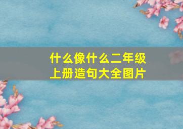 什么像什么二年级上册造句大全图片