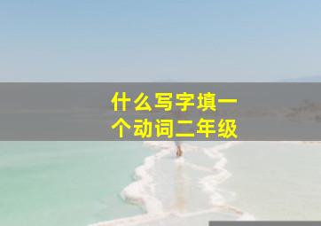 什么写字填一个动词二年级