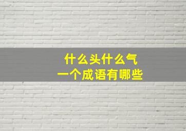 什么头什么气一个成语有哪些