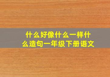 什么好像什么一样什么造句一年级下册语文