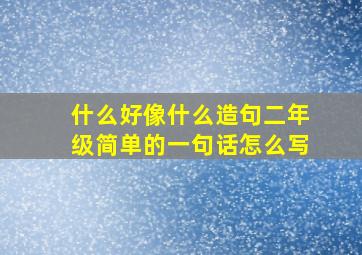 什么好像什么造句二年级简单的一句话怎么写