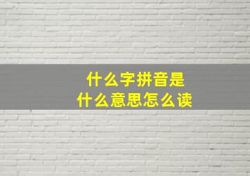 什么字拼音是什么意思怎么读