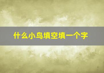 什么小鸟填空填一个字