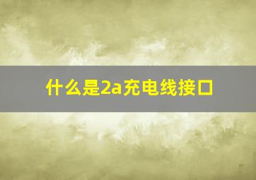 什么是2a充电线接口