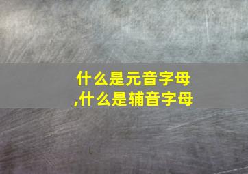 什么是元音字母,什么是辅音字母