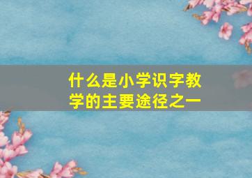 什么是小学识字教学的主要途径之一