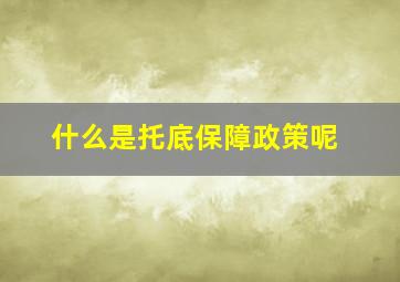 什么是托底保障政策呢