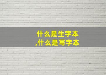 什么是生字本,什么是写字本