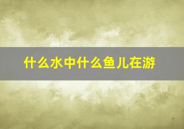 什么水中什么鱼儿在游