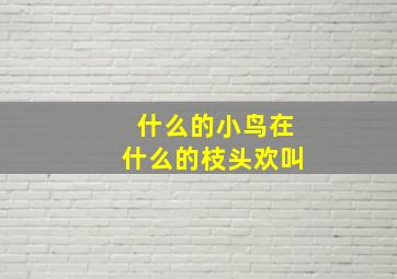 什么的小鸟在什么的枝头欢叫