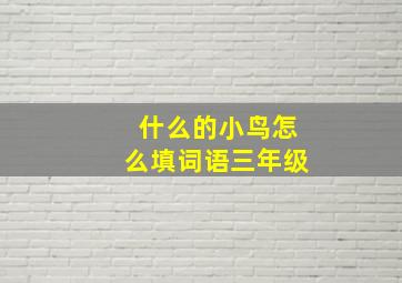 什么的小鸟怎么填词语三年级