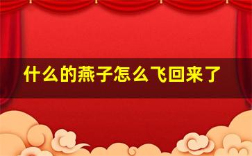 什么的燕子怎么飞回来了