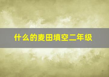 什么的麦田填空二年级