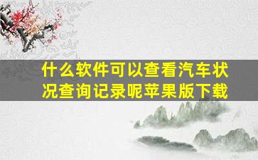 什么软件可以查看汽车状况查询记录呢苹果版下载