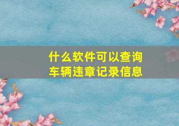 什么软件可以查询车辆违章记录信息