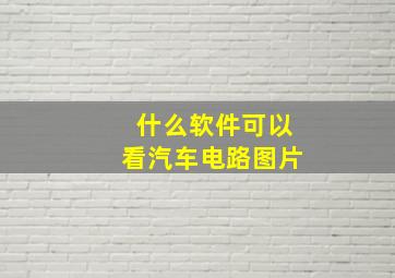 什么软件可以看汽车电路图片