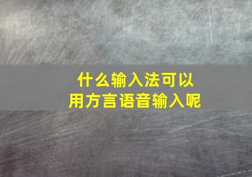 什么输入法可以用方言语音输入呢