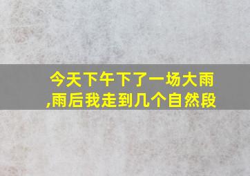 今天下午下了一场大雨,雨后我走到几个自然段