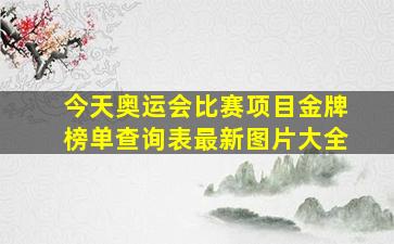 今天奥运会比赛项目金牌榜单查询表最新图片大全