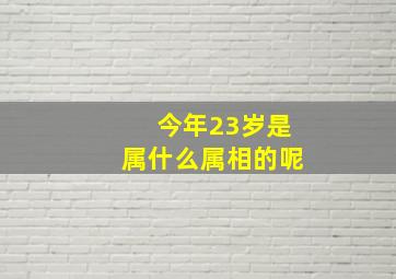 今年23岁是属什么属相的呢