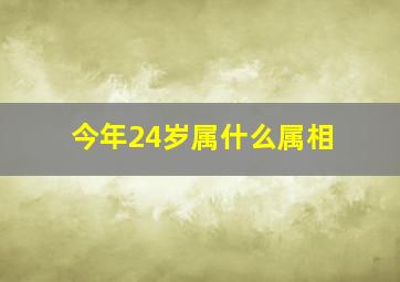 今年24岁属什么属相