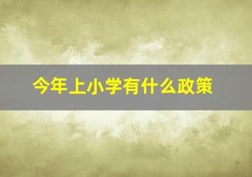 今年上小学有什么政策