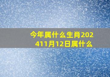 今年属什么生肖202411月12日属什么