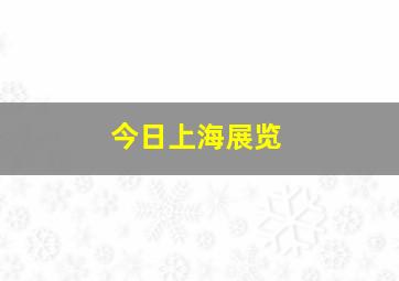 今日上海展览