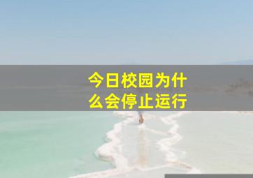 今日校园为什么会停止运行