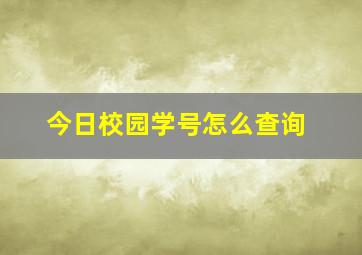 今日校园学号怎么查询