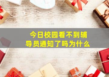 今日校园看不到辅导员通知了吗为什么