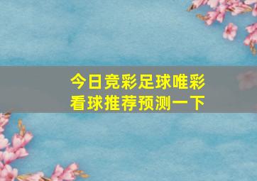 今日竞彩足球唯彩看球推荐预测一下