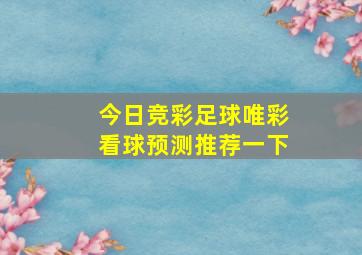 今日竞彩足球唯彩看球预测推荐一下