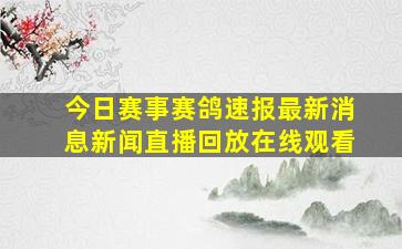 今日赛事赛鸽速报最新消息新闻直播回放在线观看