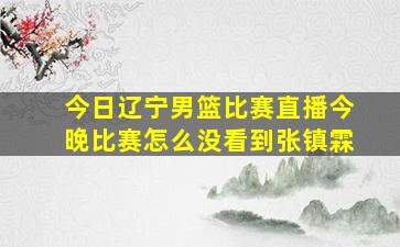 今日辽宁男篮比赛直播今晚比赛怎么没看到张镇霖