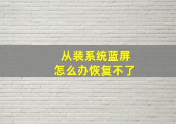 从装系统蓝屏怎么办恢复不了