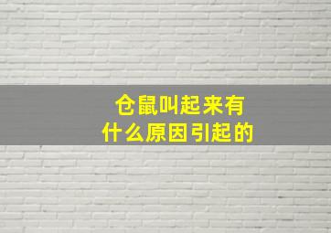 仓鼠叫起来有什么原因引起的