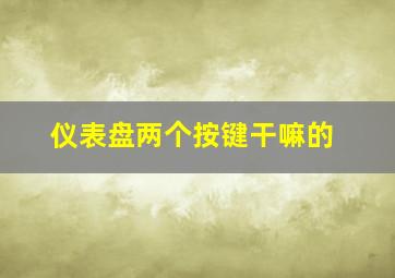 仪表盘两个按键干嘛的