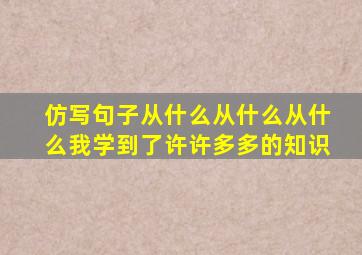 仿写句子从什么从什么从什么我学到了许许多多的知识