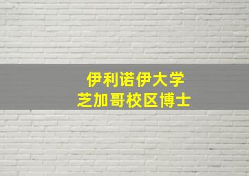 伊利诺伊大学芝加哥校区博士