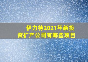 伊力特2021年新投资扩产公司有哪些项目