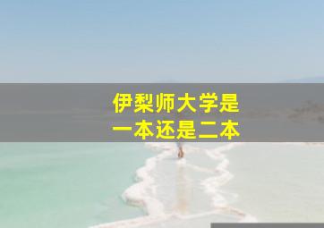 伊梨师大学是一本还是二本