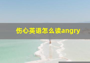 伤心英语怎么读angry