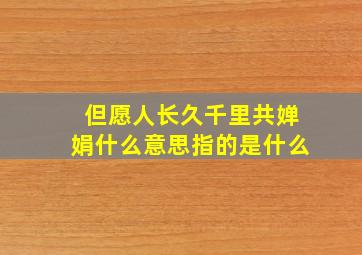 但愿人长久千里共婵娟什么意思指的是什么