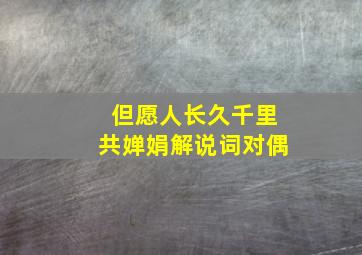 但愿人长久千里共婵娟解说词对偶