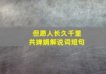 但愿人长久千里共婵娟解说词短句