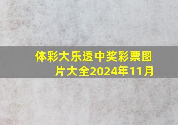 体彩大乐透中奖彩票图片大全2024年11月