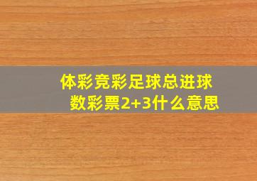 体彩竞彩足球总进球数彩票2+3什么意思