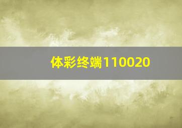 体彩终端110020