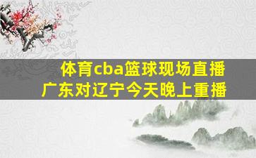 体育cba篮球现场直播广东对辽宁今天晚上重播